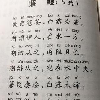 诗经秦风蒹葭拼音图片