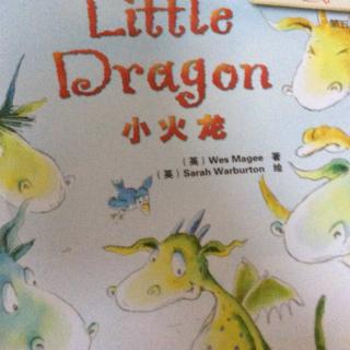 Little dragon