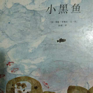 《小黑鱼》