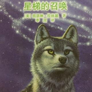 《绝境狼王》4 星梯的召唤 老巴克