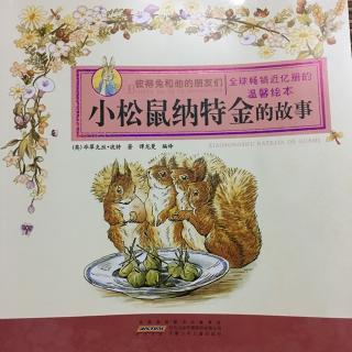 205小松鼠纳特金的故事