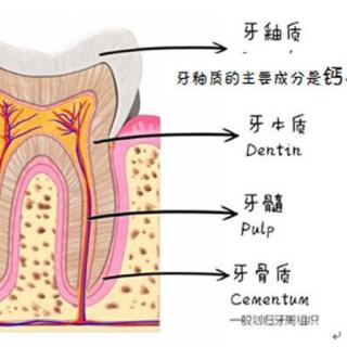 大阳-帮你省钱要不要听？