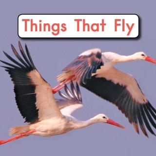 100个儿童英文故事集之Book 65 “Things That Fly”