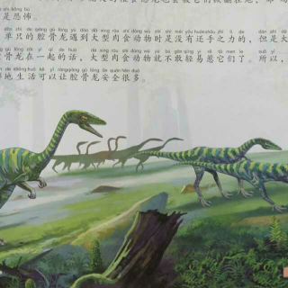 恐龙故事—腔骨龙