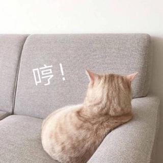 笑猫日记-绿狗山庄 地包天神秘失踪