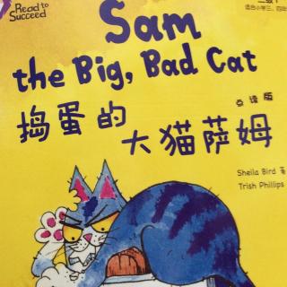 sam the big ，bad cat