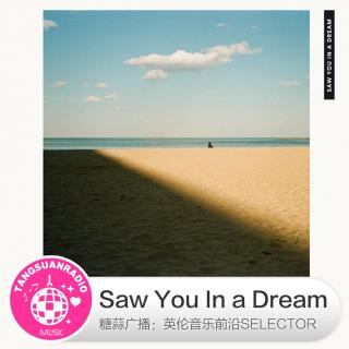 糖蒜爱音乐之The Selector：Saw You in a Dream