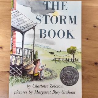 The Storm Book