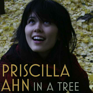 In a tree–Priscilla Ahn