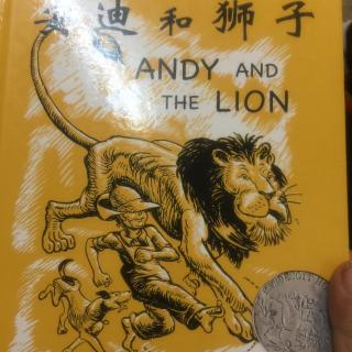 安迪和狮子