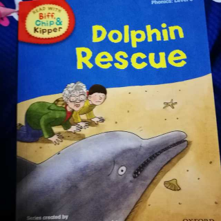 Dolphin Rescue