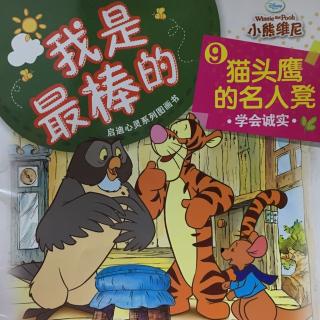 192 小熊维尼-猫头鹰的名人凳