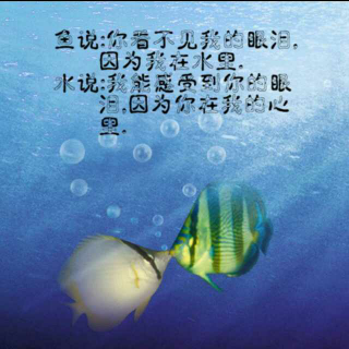 双语朗诵《鱼🐠和水的故事》——播讲:青青荷韵