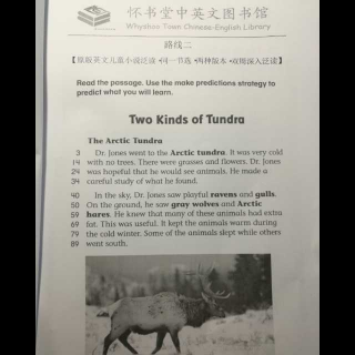 怀书英语 原版小说 双周 Two kinds of Tundra