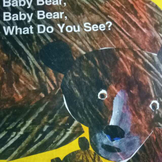 Baby Bear,  What Do You See