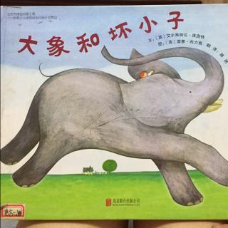 20170613🐘大象和坏小子