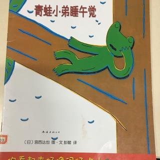 🐸青蛙小弟睡午觉🐸