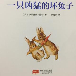 一只凶猛的坏兔子