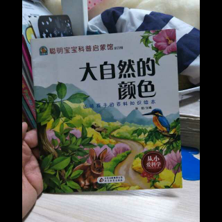 聪明宝宝科普启蒙馆"大自然的颜色"