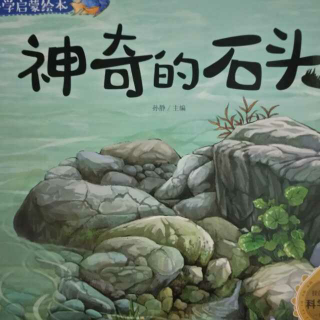 【23】科学绘本《神奇的石头》