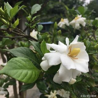 日日是好日40 雨天听雨