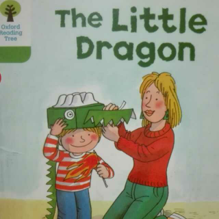 the little dragon