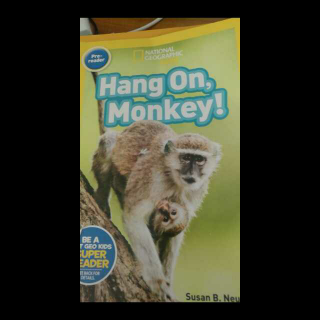 佑佑Hang on Monkey