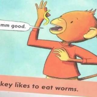 猴子喜欢吃虫子🐛