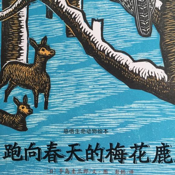 跑向春天的梅花鹿