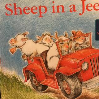 Sheep in a Jeep（by Moon）20170614