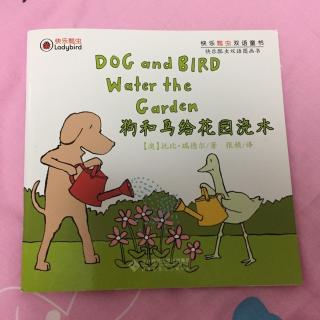 【乐乐读英文绘本】Dog and bird water the garden