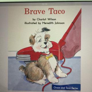 Brave Taco