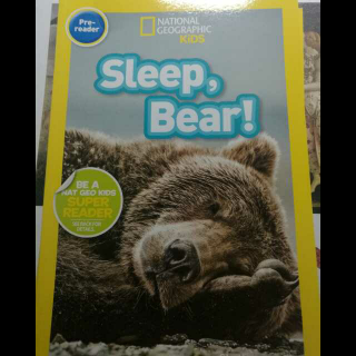 Sleep bear