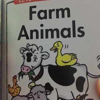 farm animals