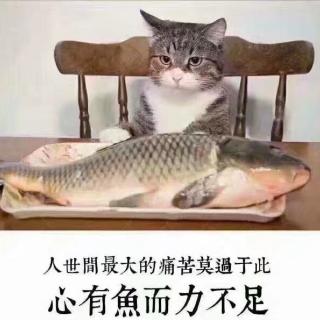 你为什么还没谈恋爱