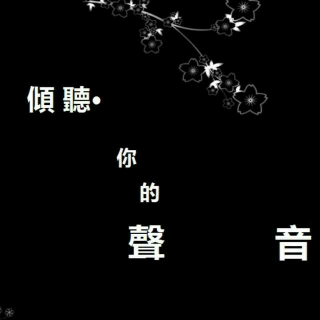 《你的声音》–碑林路人