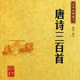 267.唐诗三百首|送上人