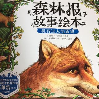 森林报 故事绘本 机智过人的狐狸🦊