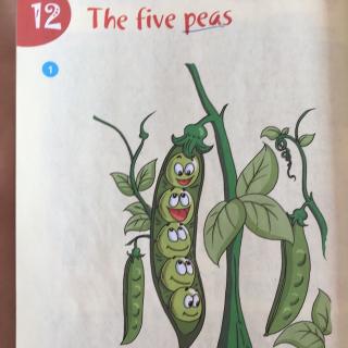 牛津英语6B-Unit 12 The five peas