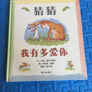 猜猜我有多爱你