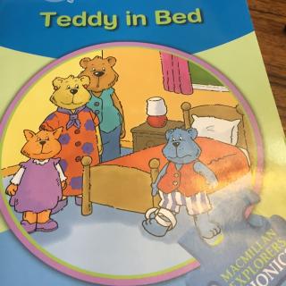 Teddy in Bed