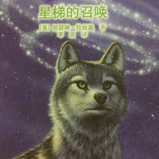 《绝境狼王》4 星梯的召唤 第4章 议庭的秘密