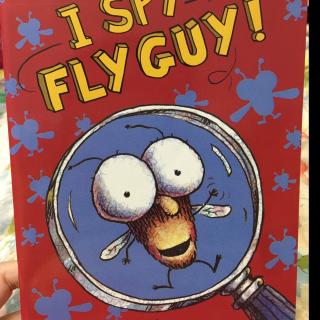 No.88 I Spy Fly Guy!