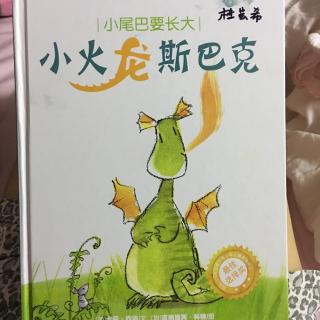 小火龙斯巴克