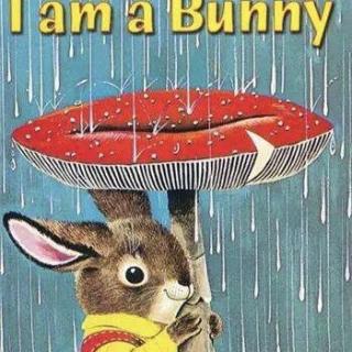 I am a Bunny 《我是一只小兔子》