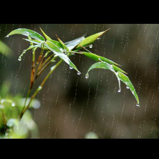 汪国真～雨的随想