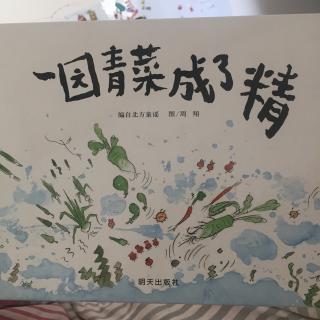 一园青菜成了精