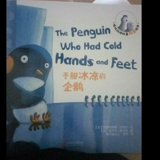 手脚冰凉的企鹅
