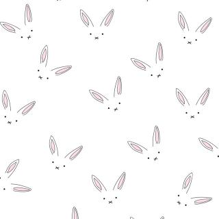 兔小白和兔小灰