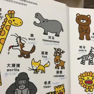 幼儿认知小百科 动物园动物